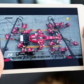 Wolf Webentwicklung und Webdesign ist Ihr Partner in Heidelberg