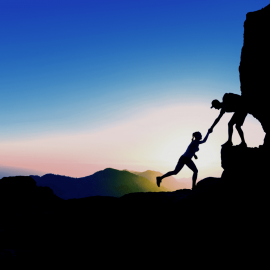 Wolf Webentwicklung und Webdesign ist Ihre Webagentur